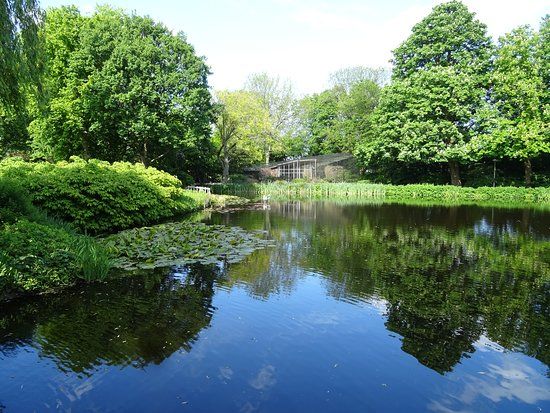 Broersepark