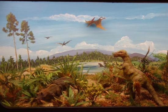 het Geologisch Museum Hofland