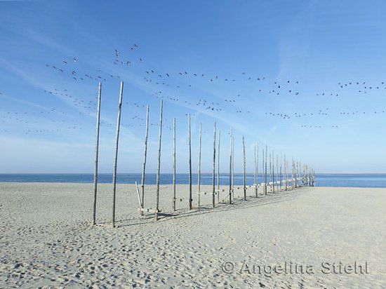 Texel Kunst Angelina Stiehl