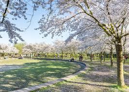 Bloesempark