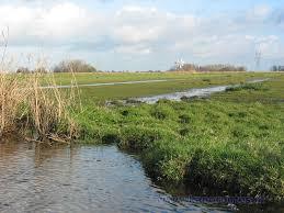 Ilperveld