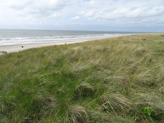 Strand Egmond Aan Zee