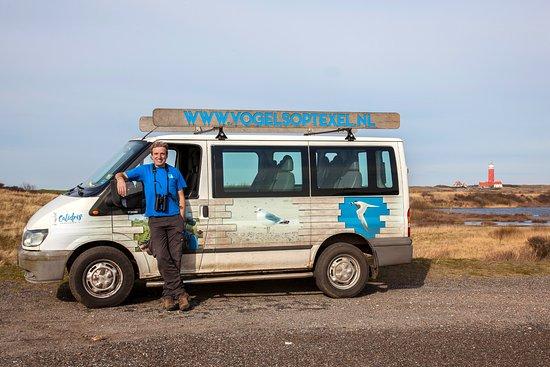 Calidris Birdsafaries