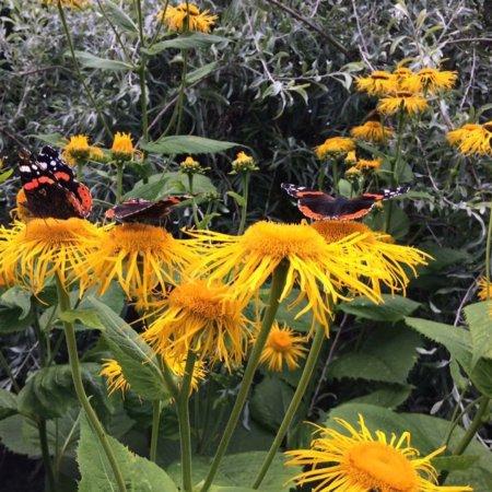 Tuin der lusten
