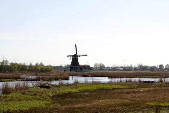 De Jonge Dirk