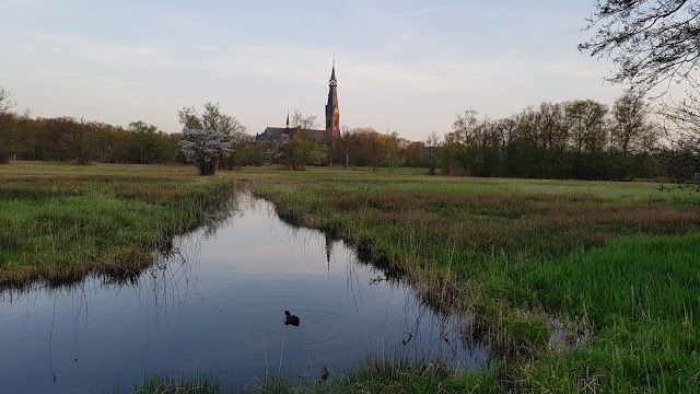 De Poel