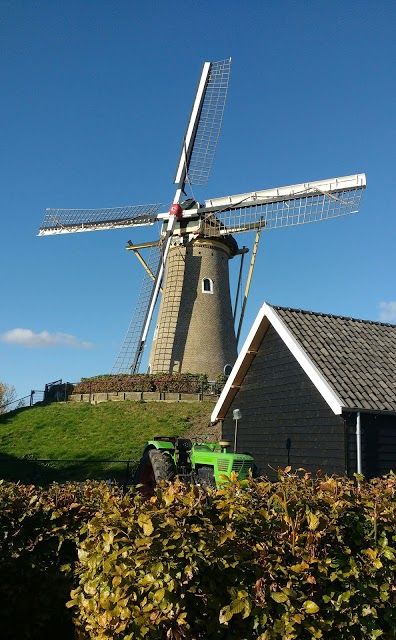 De Eersteling
