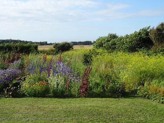 de Zelfpluktuin Den Burg